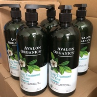 現貨❗️ AVALON OGRANICS茶樹精油潔淨去頭皮有機洗髮露 946ml
