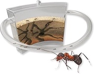 Ant Farm Ant Colony for Live Ants Terrarium Kit Ant House - Science Toy for kids Natural Ecosystem Live Animals STEM projects for kids - Ant Nest