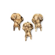 REPLIKA Dayak Ethnic Dayak Circular Pig Fangs Pendant Replica Accessories