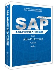 SAP ABAP 開發從入門到精通