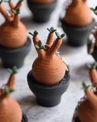 紅皮象牙宮按键鎖匙扣 鑰匙圈/吊飾/多肉塊根/辦公室擺設/盆栽