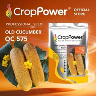 HOT ITEM🔥 (1000 SEEDS) Biji Benih Timun Tua Gold bar 金霸 OC575 CROP POWER F1 HYBRID Old Cucumber Seed