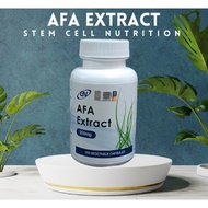 AFA EXTRACT STEM CELL 300mg 100 Capsules (Natural Anti-Cancer & Anti-Ageing Formula)