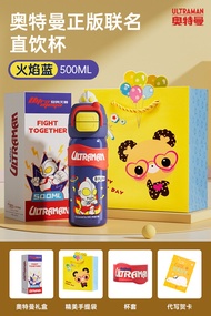 School Boy Insulated Water Bottle with Straw