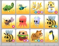 Adopt me pets - Chameleon,dragonfly,Fairy batdragon,Golden hamster,Hippogriff,octopus, Squid,Bee,bur