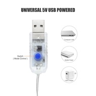 300 LED WINDOW CURTAIN PARTY WITH 3 X REMOTE CONTROL 3m