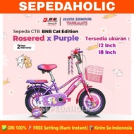 SEPEDA ANAK PEREMPUAN BNB CAT EDITION UKURAN 12 &amp; 18 INCH KERANJANG