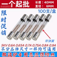 Microwave Fuse5KV/0.65A 0.7A 0.75A 0.8A 0.9A Microwave Oven High Voltage Fuse