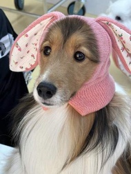 1 件裝寵物兔子耳朵設計花卉帽子,適合打扮狗和貓