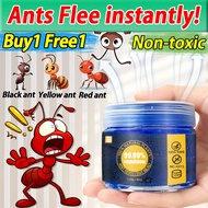 Buy 1 Free 1 GN Ants repellent Plant extracts, safe for humans and pets  Ant killer gel Ant gel kill