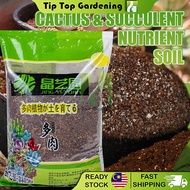 Cactus & Succulent Nutrient Soil Organic Potting Mix Garden Stone Tanah Kaktus Sukulen