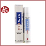 Yunnan Baiyao Aerosol Spray 85g 云南白药气雾剂