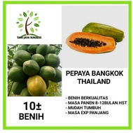 (10 Seeds) Bangkok Papaya Seeds | Thailand PAPAYA