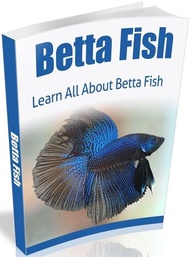Betta Fish 電子書