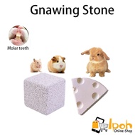 Gnawing Stone for Hamster Rabbit Guinea Pig Chinchilla other small animal