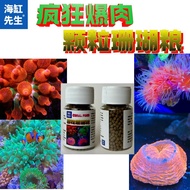 Mr. Sea Anemone Pacifier Sea Anemone Coral Food Suitable for Cannon Battle Flower Brain Slow Sinking