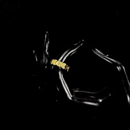 Paseris - Hwasa Women's Titanium Ring