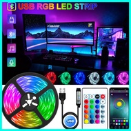 LED Strip Light USB Bluetooth RGB 5V LED RGB Lights Flexible LED Lamp Tape Ribbon RGB TV Desktop Scr
