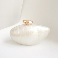 Women's Glamorous Elegant Acrylic Clutch Magnet Closure Long Chain Shoulder Cross Body Evening Bag F