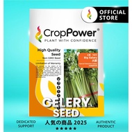 (50 GRAM) Biji Benih Daun Sup Saderi Big Salary 大薪 CE101 CROP POWER Celery seeds  芹菜种子  CE 101