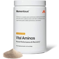 Momentous Vital Aminos Powder Supplement - BCAA & EAA - Tropical Punch - NSF Certified for Sport - G
