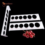 [Gamchiano] Measuring Ruler, Diameter Measuring Device Premium, Wear-resistant Diameter Measuring To