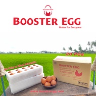 Booster Egg -20pcs I Organic Selenium-Enriched I Pomegranate & Beetroot I 100% Vegetarian Fed I Fres