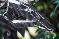 SPAKBOR DEPAN NINJA 250 FI OLD NEW NINJA250 Z259 SPAKBOR CARBON KARBON