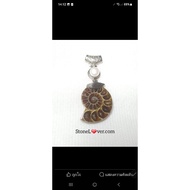 Ammonite fossil Pendant Natural Stone