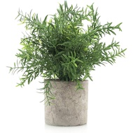 Artificial Potted Rosemary Plants- Rustic Farmhouse Topiary Shrubs for Decor Centerpieces Living Roo