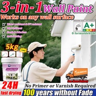 [24 hours delivery] cat dinding luar rumah 1000ml formaldehyde wall paint cat dinding rumah cat dind