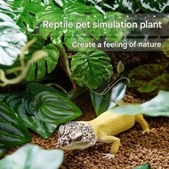 Climbing pet box landscaping plants desert rainforest lizard tortoise box plants simulation green pl