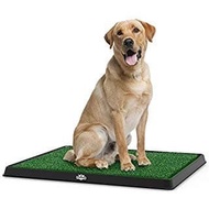 Potty Training Pad - Dog Toilet Training - Dog Pee Pad