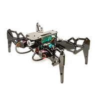 Adeept DarkPaw Bionic Quadruped Spider Robot Kit Compatible with Raspberry Pi 4 3 Model B+/B, STEM C
