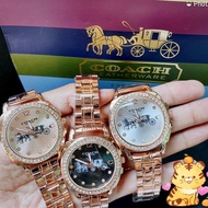 Caoch stainless steel/leather watch full set with paper box, manual book paper bag