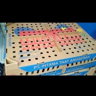 TERUJI DOC ANAK AYAM KAMPUNG KUB 1 BOX KODE 1194