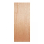 Plywood Door / Flush Door