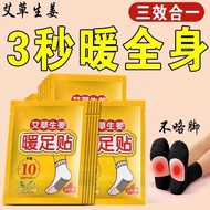 Wormwood Ginger Foot Warmer Foot Warmer Foot Warmer Heating Foot Warmer Foot Warmer Baby Foot Warmer