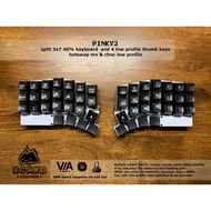 Pinky3 40 percent split keyboard QMK VIA VIAL Tamanishi Open source hotswap mechanical keyboard