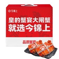 gift box【Live Crab】Today's Fresh Hairy Crabs