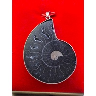 Premium Grade Ammonite crystal slab pendant (黑螺)- 20g
