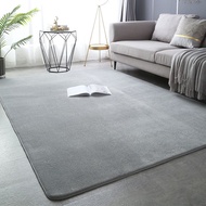 Rug,Modern Minimalist Coral Fleece Rug, Living Room Rug, Bedroom Bedside Non-Slip Floor Mat
