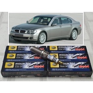 Spark Plug Iridium BMW E66 (2001-2009) Set Of 6 Heads/8 Working Distance 100000 Km Hella IM8RC-11P I