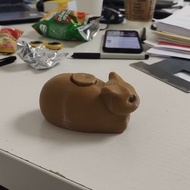 OIIA OIIA CAT TOY VIRAL MEME FIDGET TOYS SPINNER UIIA UIIA