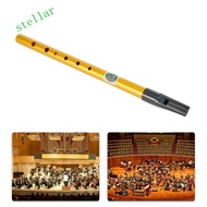 STELLARTECH Irish Whistle Flute, 6 Hole Professional Ireland Flute, Musical Accessories Musical Inst