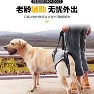 ~~ Pet Supplies Injured Dogs Back Legs Assisted Straps Age Injured Dogs Recovery Straps Assisted Lea