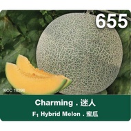 Benih Rock Melon M655 Charming *Repack 20/40/50/100 Biji* GwG F1 Hybrid Melon