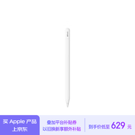 Apple/苹果 Pencil (USB-C) 磁吸触控笔手写笔苹果笔电容笔 适用于iPad Pro (M4)/iPad Air (M2)/iPad10