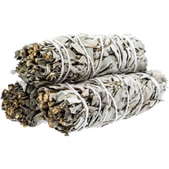 [White Sage] White Sage