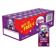 RIBENA PACKET 24X200ML /(CARTON) EXPIRY 2025